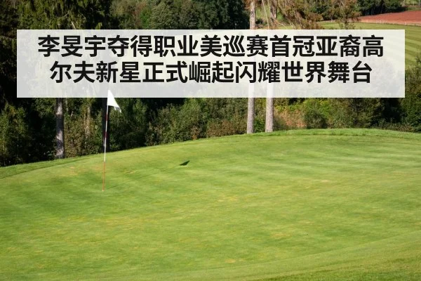 李旻宇夺得职业美巡赛首冠亚裔高尔夫新星正式崛起闪耀世界舞台