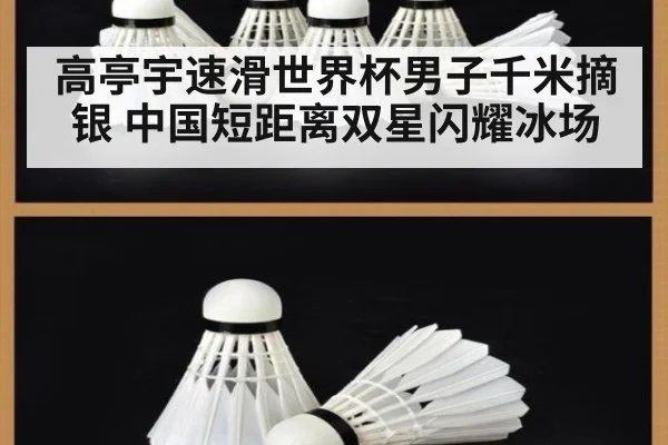 高亭宇速滑世界杯男子千米摘银 中国短距离双星闪耀冰场